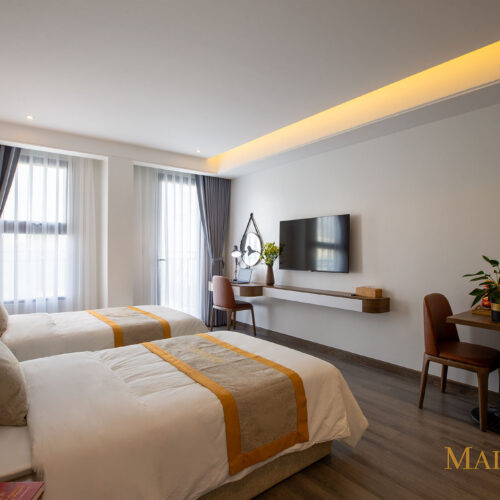 TWIN ROOM ( Mountain View )