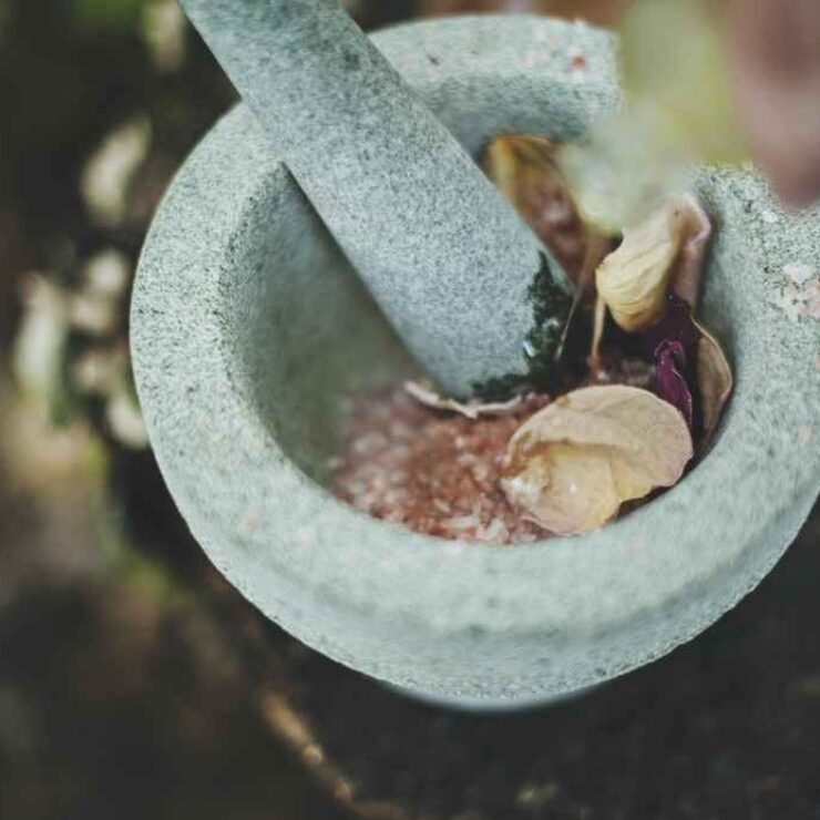 Maihomes hôm nay có gì